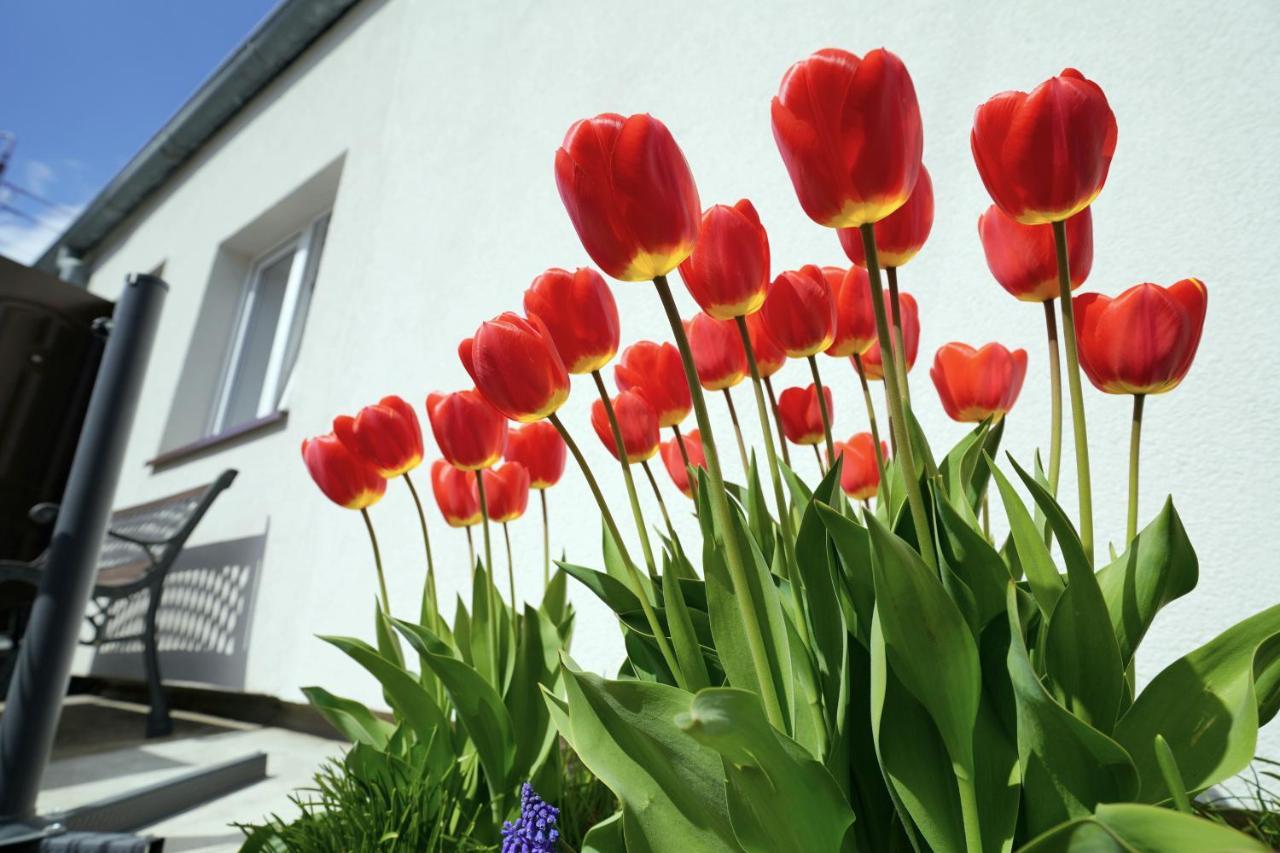 Apartamenty Na Szlaku Gizycko Bagian luar foto