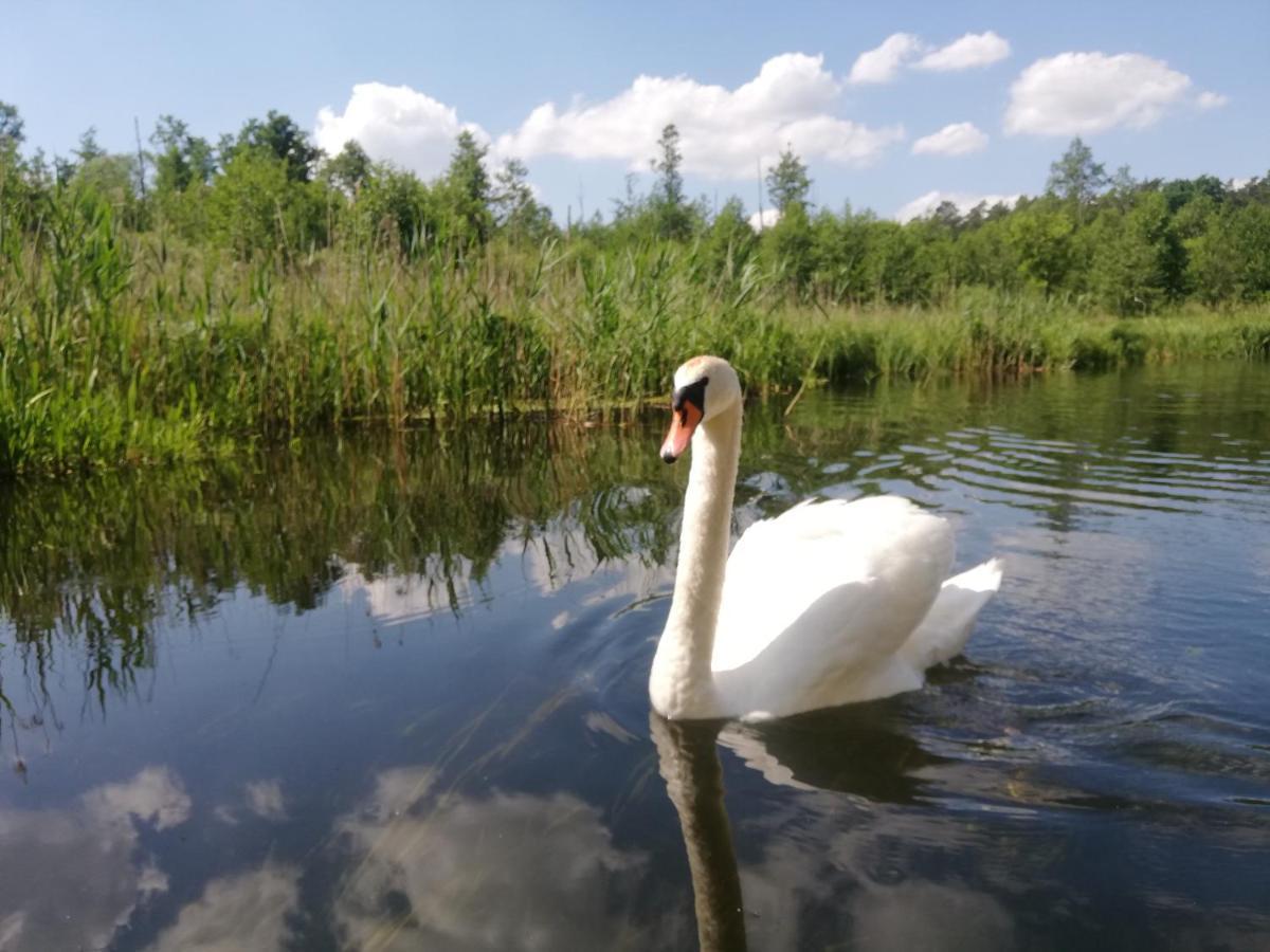 Apartamenty Na Szlaku Gizycko Bagian luar foto
